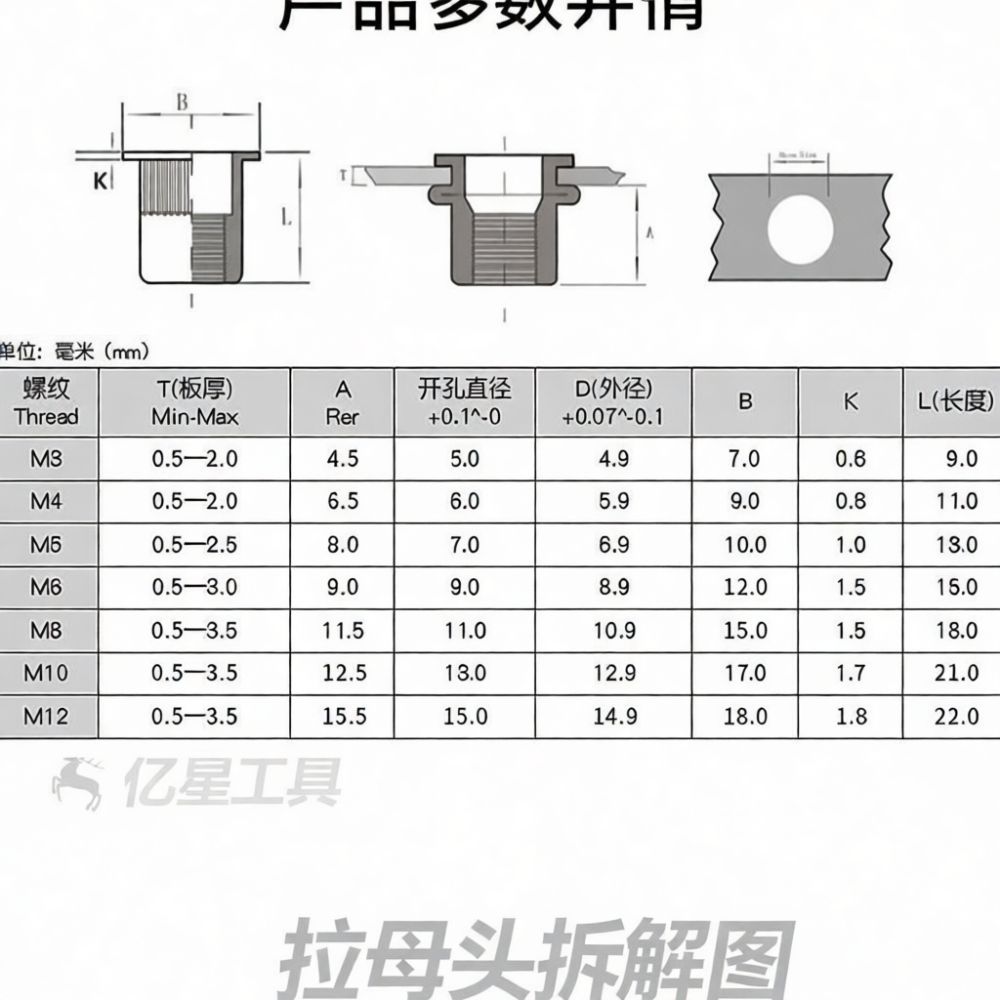 Rivet Setter Tool - ชุดเครื่องมือตอกหมุดแบบมืออาชีพ สำหรับน็อตเกลียว M3 M12 เครื่องมือตอกหมุดแบบใช้มือ ทำจากเหล็กคาร์บอน